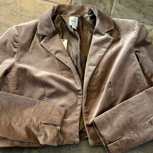 Maeve Taupe Velvet Blazer Jacket